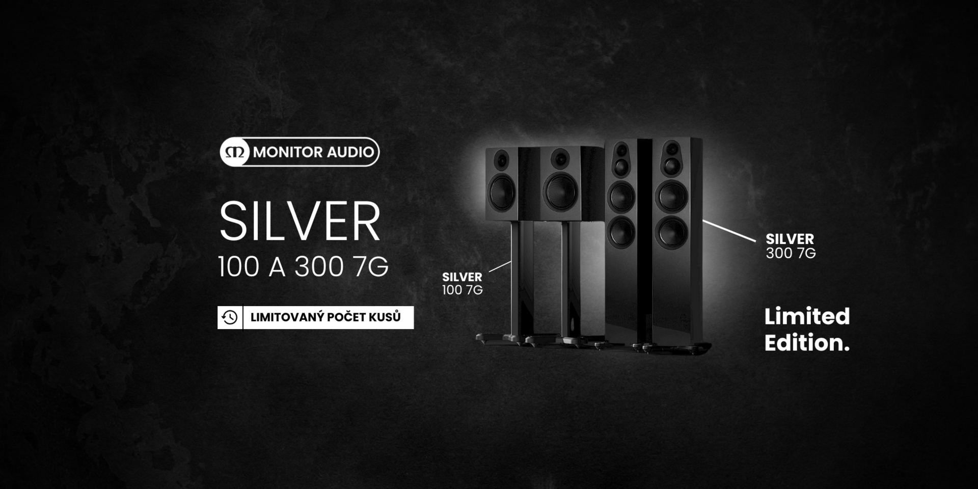 silver-300-2.png