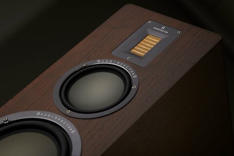 Audiovector QR 7 SE ořech