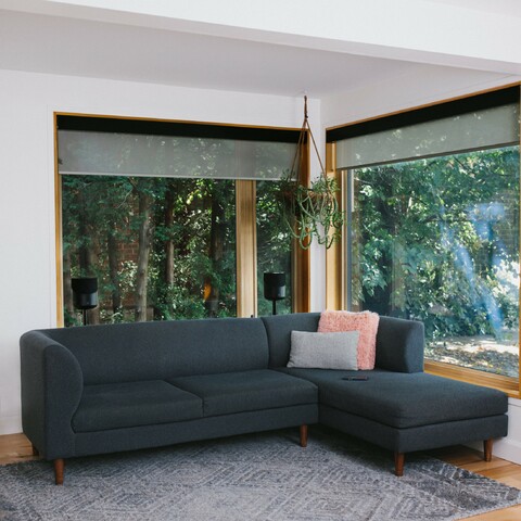 Bluesound PULSE M černý