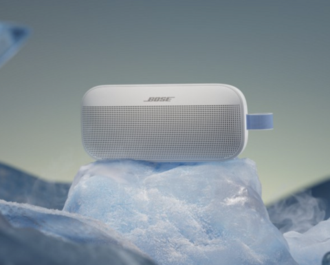 BOSE SoundLink Flex II (fog grey)