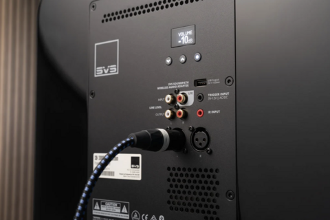 SVS PB-3000 R-Evolution BLACK ASH