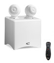 cineole_blanc_bigw.jpg